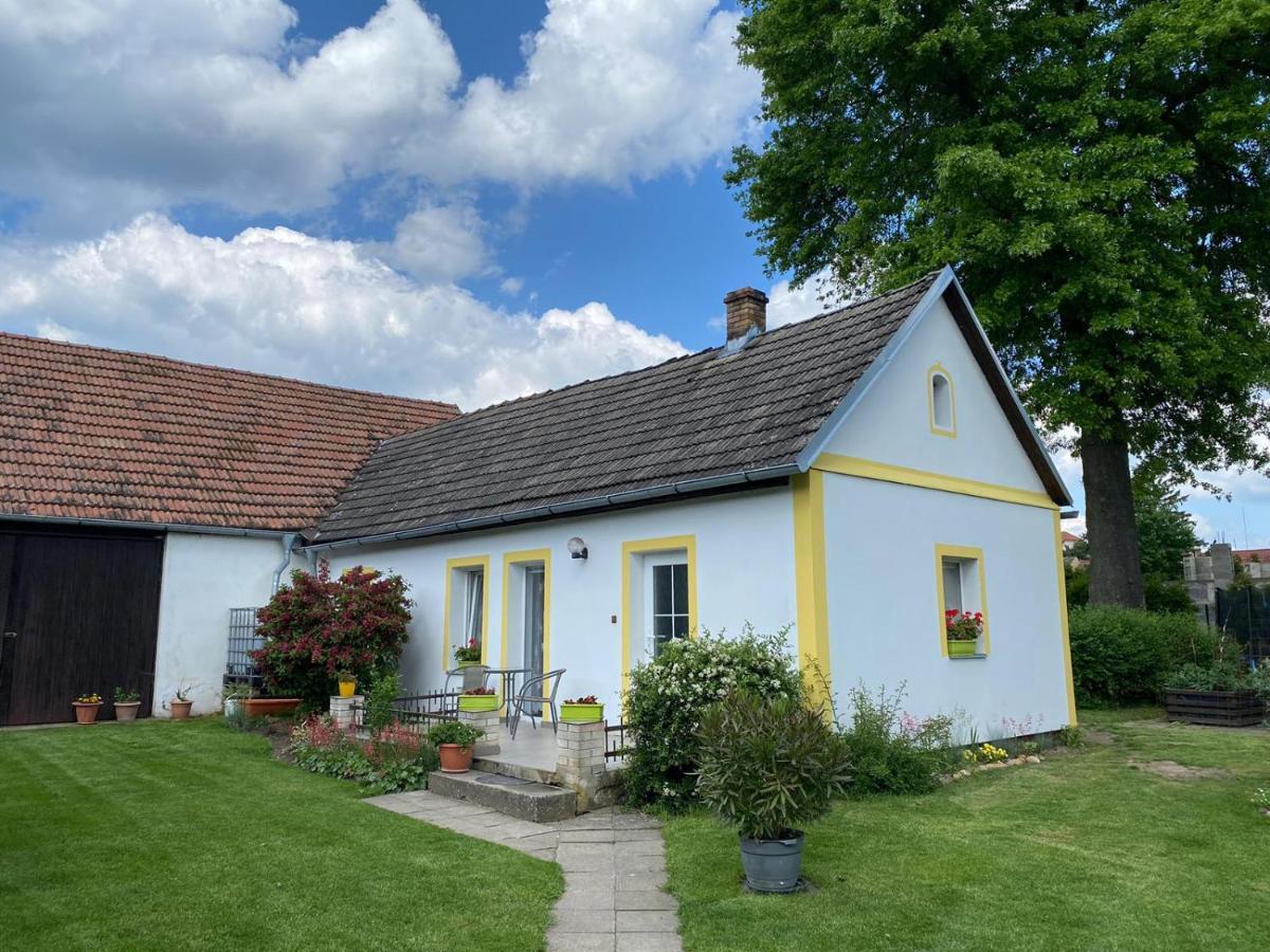 Apartman Beniskovec, Suchdol Nad Luznici Eksteriør billede